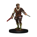 D&D ICONS OF THE REALM: HUMAN ROGUE MALE